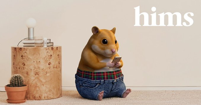 Himster sitting on a rug using a phone beneath the hims logo